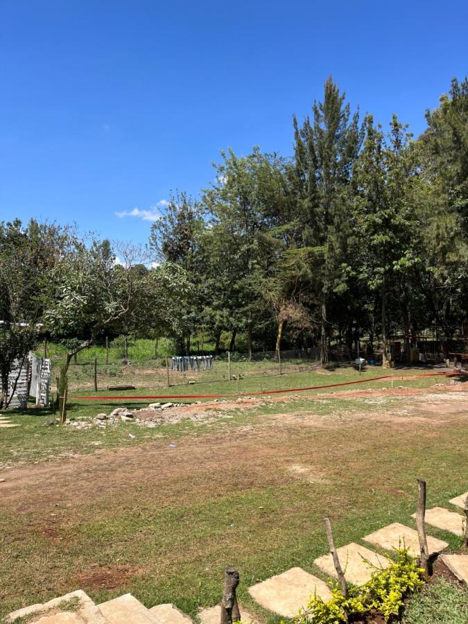 Koselig Homes Nanyuki Eksteriør billede